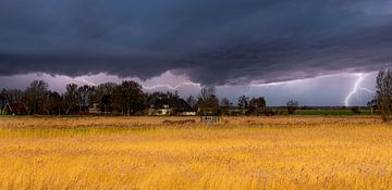 Gewitter über einem niederländischen Weizenfeld