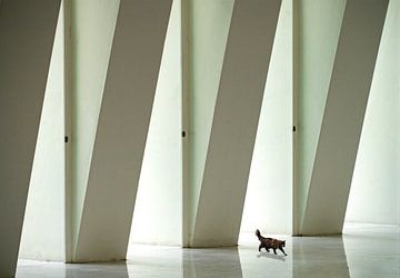 Catwalk van Marcel van Balken