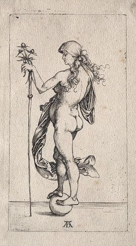 The little fortune, Albrecht Dürer