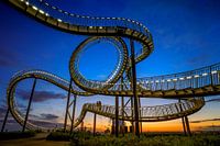 Tiger and Turtle in Duisburg