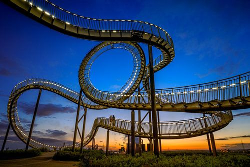 Tijger en schildpad in Duisburg