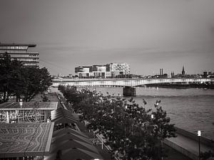 Kranhäuser im Rheinauhafen in Köln