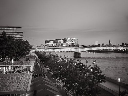 Kraangebouwen in de Rheinau haven in Keulen