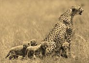 Cheetah with cubs van Roland Smeets thumbnail