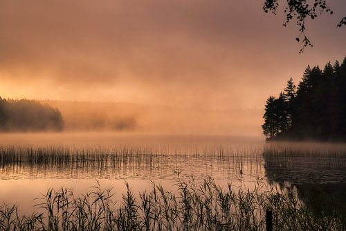 Zonsopgang met mist boven een meer in Zweden, bij zonsopgang