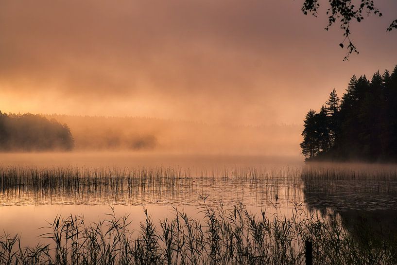 Lever de soleil avec formation de brouillard sur un lac en Suède, à l'aube par Martin Köbsch