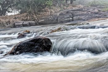 Park Isadou Suriname