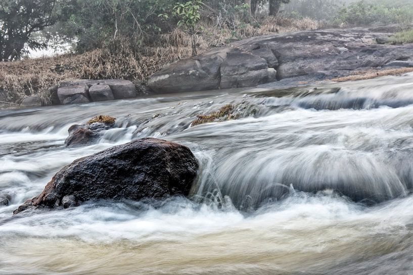 Parc Isadou Suriname par Michel Groen