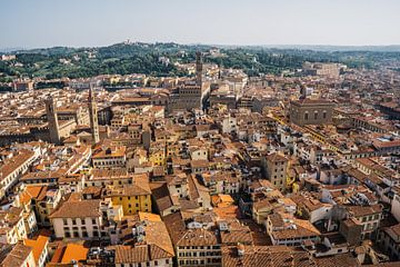 Dächer von Florenz