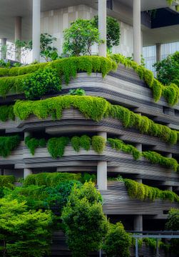 Mooi groen op de gebouwen van Singapore vlakbij chinatown . Bijna sprookjesachtig. van Claudia De Vries