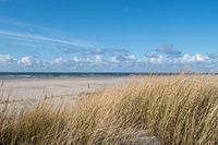 Texels strand aan de Waddenzee
