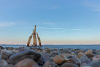 zeeland arendsoog Den Osse