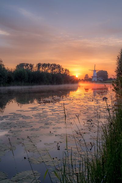 Beautiful mill the Butterfly on the Linge by Moetwil en van Dijk - Fotografie