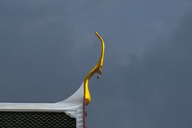 Des lignes spirituelles dans le ciel gris