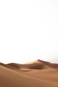 Sahara °5
