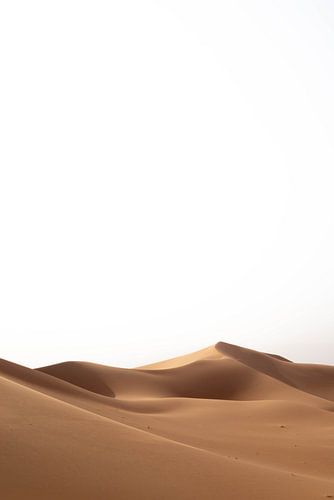 Sahara °5