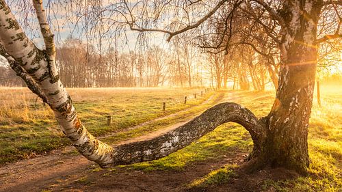 Zonsopgang in de late herfst