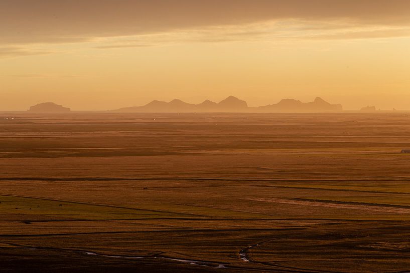 Island von Eric van Nieuwland