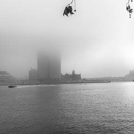 Rotterdam on a foggy morning 2 by Ron van Ewijk