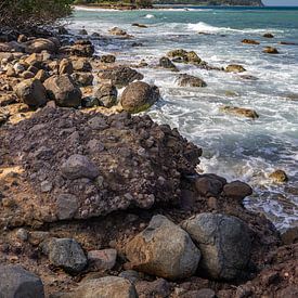 Wilde Caribische kust, Pointe Allègre, Sainte Rose Guadeloupe van Fotos by Jan Wehnert