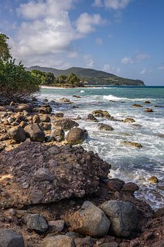 Wilde Caribische kust, Pointe Allègre, Sainte Rose Guadeloupe van Fotos by Jan Wehnert