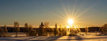 Soleil de février sur Torfinn Johannessen