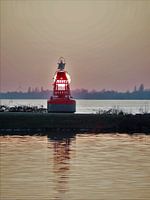 Aalsmeer, la lumière sur l'eau