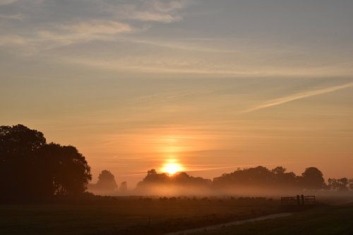 Sunrise in august