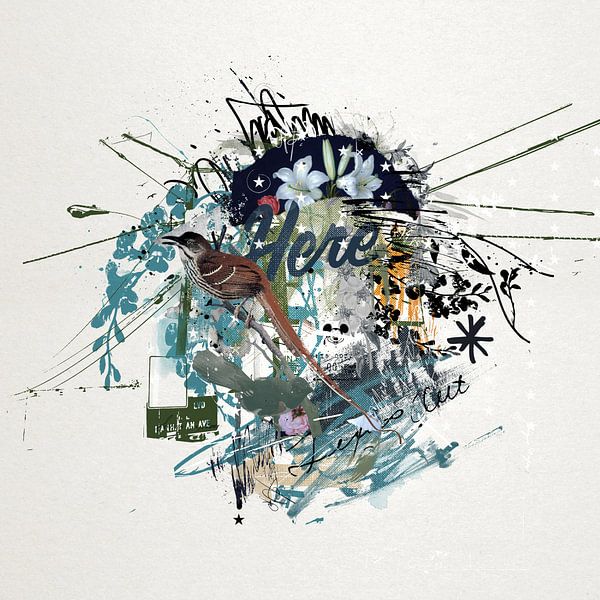 Bird Collage II by Teis Albers
