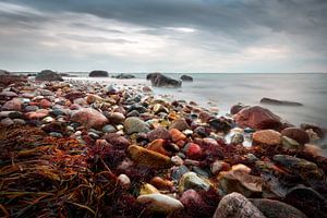 Die rote Küste, Küste von Enø (Dänemark)