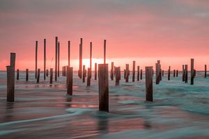 Palendorp Petten 3
