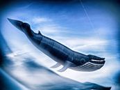 Drachenfestival  Heiligenhafen Wal von Peter Lynn von Dirk Bartschat Miniaturansicht