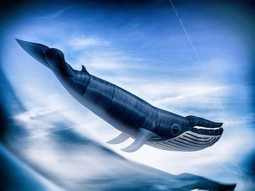 Drachenfestival  Heiligenhafen Wal von Peter Lynn von Dirk Bartschat