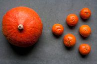 Orange von joas wilzing Miniaturansicht