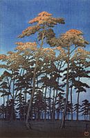 Hoge bomen tegen een blauwe lucht, Hikawa park in Omiya, Japan,  Kawase Hasui, 1930