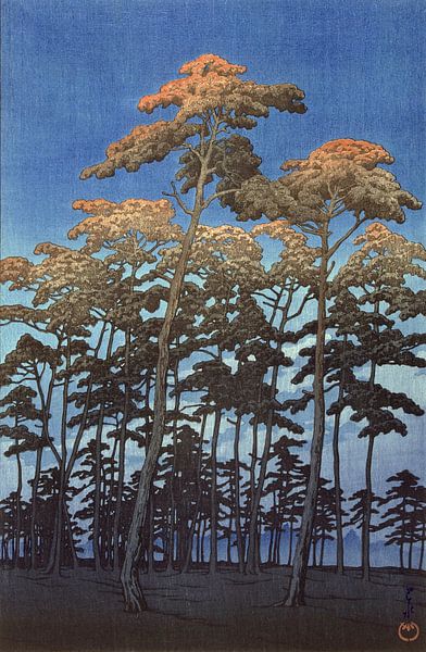 Hohe Bäume gegen einen blauen Himmel, Hikawa Park in Omiya, Japan, Kawase Hasui 1930 von Roger VDB