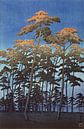 Hohe Bäume gegen einen blauen Himmel, Hikawa Park in Omiya, Japan, Kawase Hasui 1930 von Roger VDB Miniaturansicht