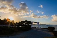 Sunset Wedding Location Mauritius by Maikel Dijkhuis thumbnail