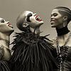 Symphony of Black Feathers by Karina Brouwer