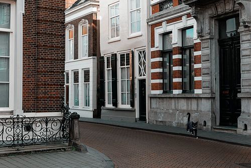 Den Bosch Hoek Peperstraat-Oude Dieze