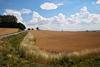Graanveld in Zweden