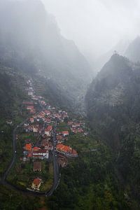 Üppiger Madeira