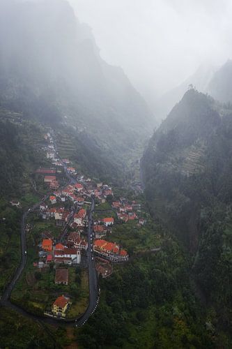 Lush Madeira by Martin Podt