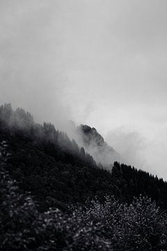 Norway by Aron Nijs