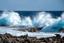 Meer an der Küste von Bonaire