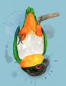 Ein Aquarell eines Grünzügelpapagei