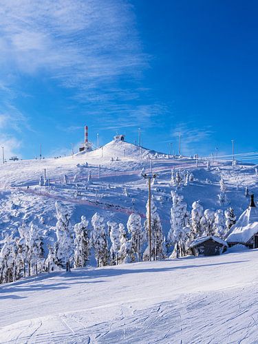 Landschap met sneeuw in de winter in Ruka, Finland
