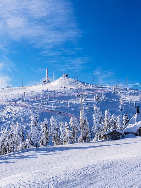 Landschap met sneeuw in de winter in Ruka, Finland van Rico Ködder
