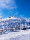 Landschap met sneeuw in de winter in Ruka, Finland van Rico Ködder thumbnail