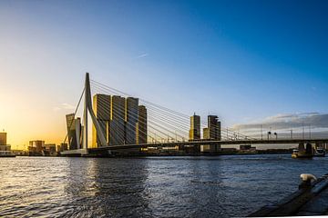Rotterdam Skyline in the morning van Ricardo Bouman